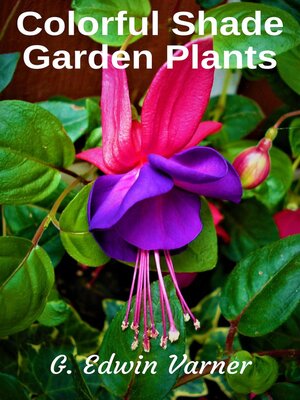 cover image of Colorful Shade Garden Plants